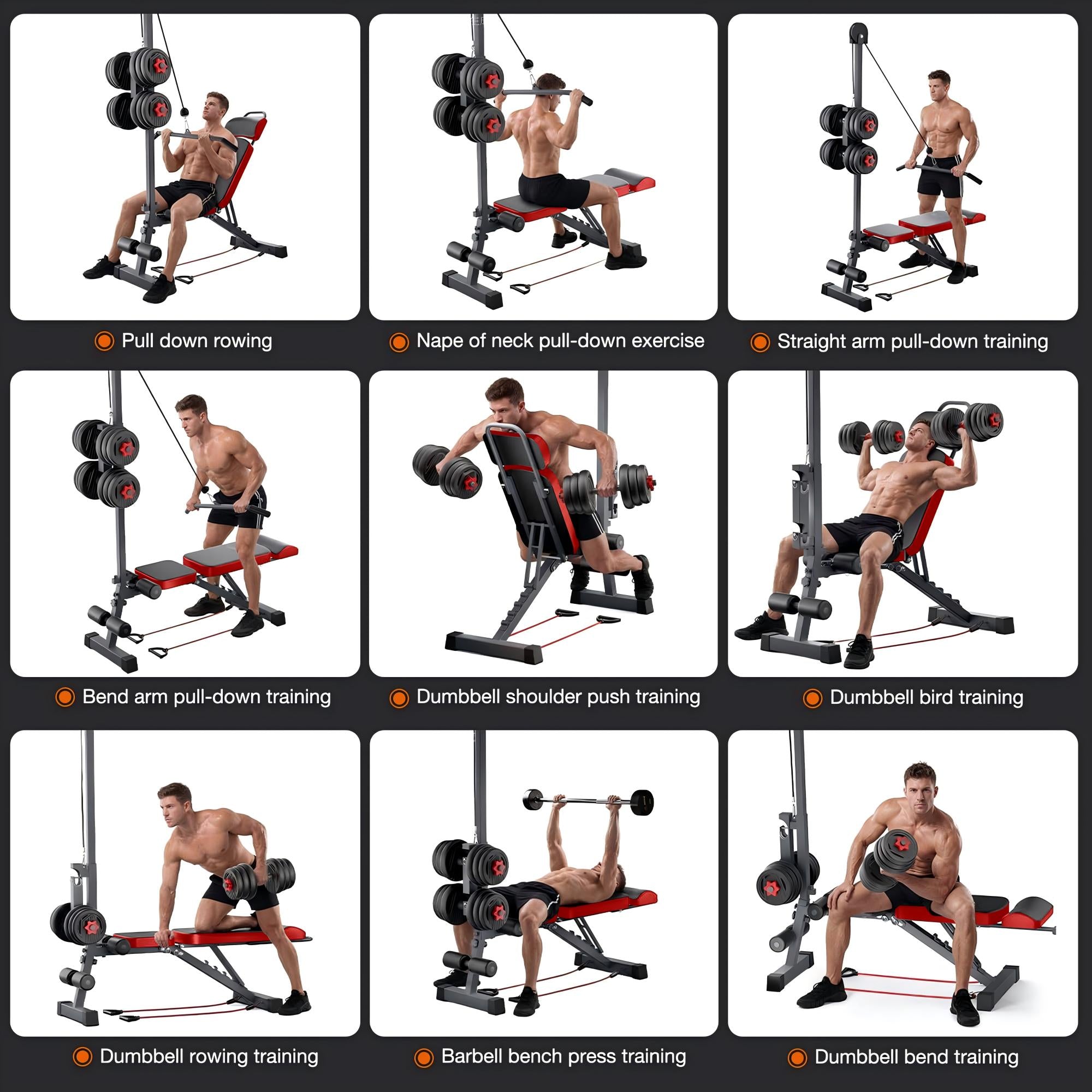 Multi-Functional Adjustable Weight Bench